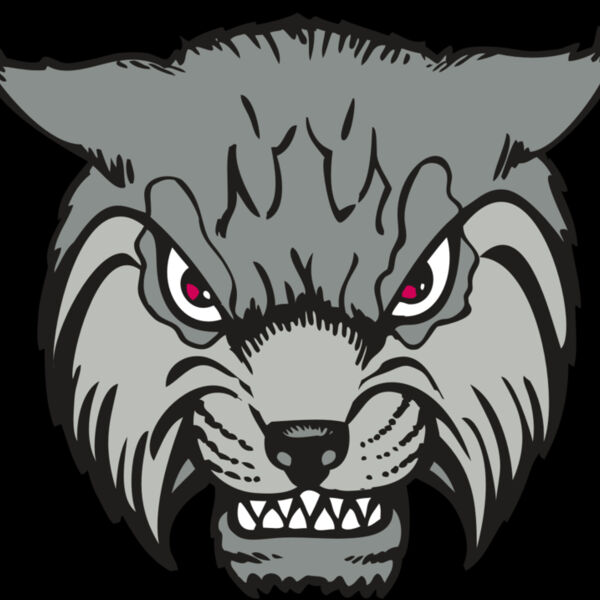 BAW BOBCAT 02 RC Thumbnail