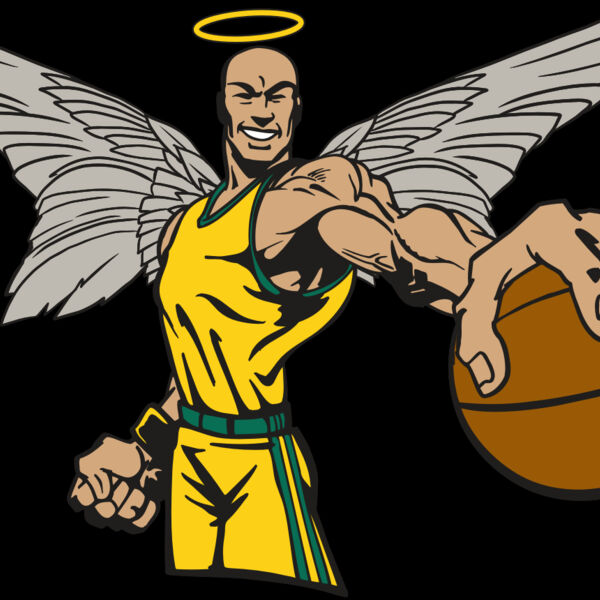 AR17 ANGEL BSKT 06 RQC Thumbnail