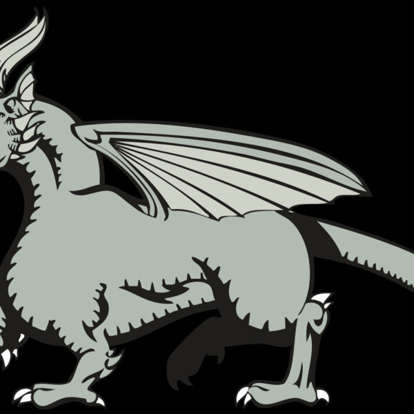 BAW DRAGON 20 RC Thumbnail