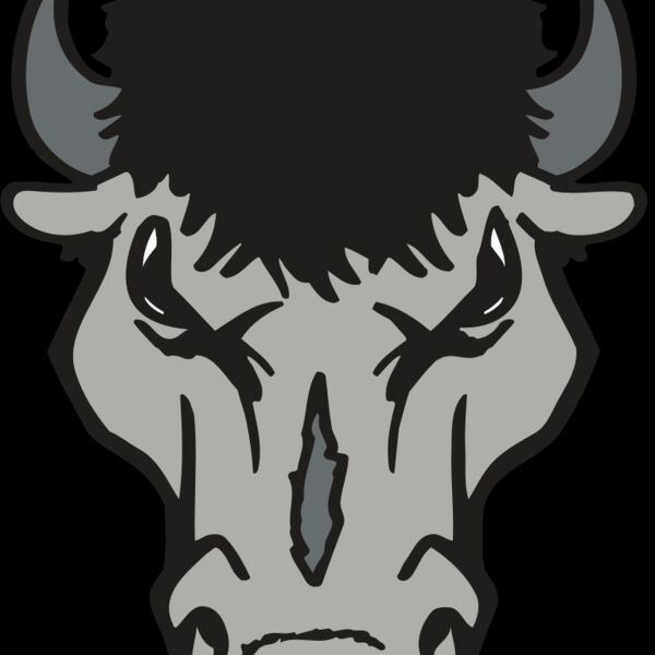 AR BUFFALO 15 RC Thumbnail