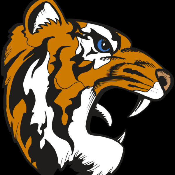 BAW TIGER 08 RC Thumbnail