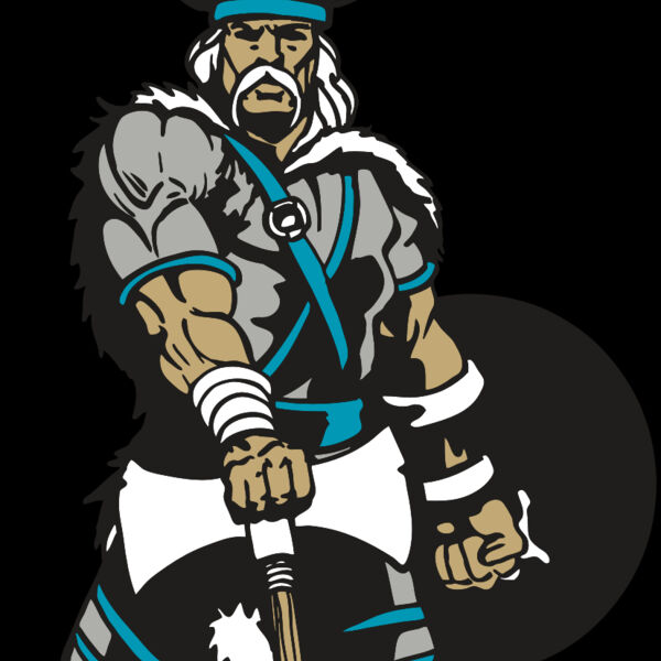 AR VIKING 41 RC Thumbnail