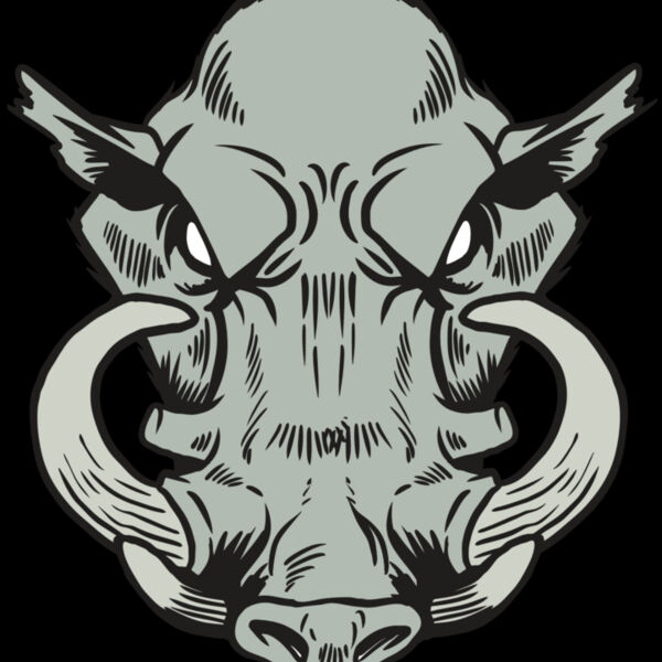 AR20 RAZORBACK 38 RQC Thumbnail