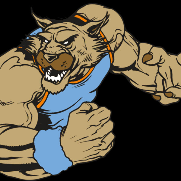 AR WILDCAT 46 RC Thumbnail