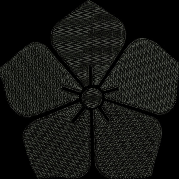 NZ556 Thumbnail