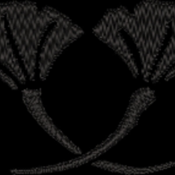 NZ541 Thumbnail