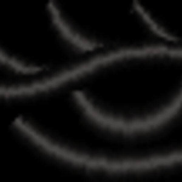 NZ788 Thumbnail