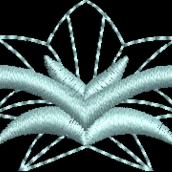 NZ806 Thumbnail