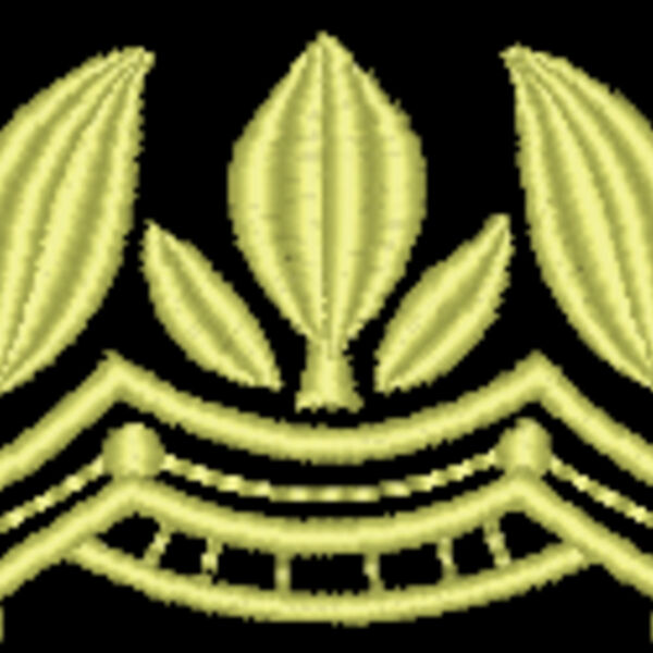 NZ798 Thumbnail