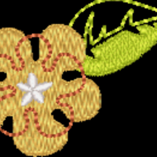 NB229 48 Thumbnail